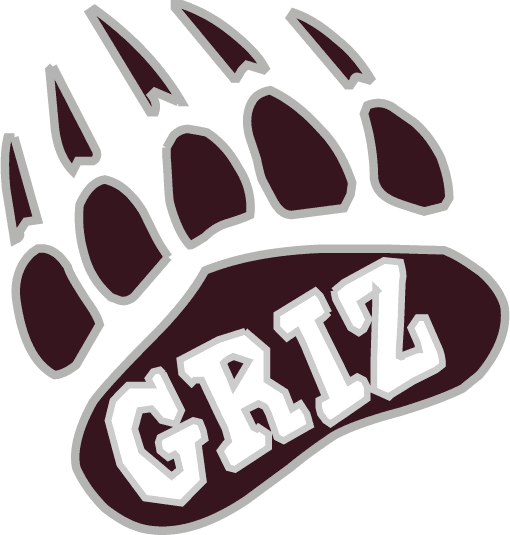 Montana Grizzlies 1996-Pres Alternate Logo v9 diy DTF decal sticker